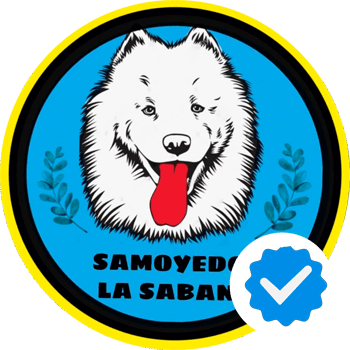 Samoyedos La Sabana